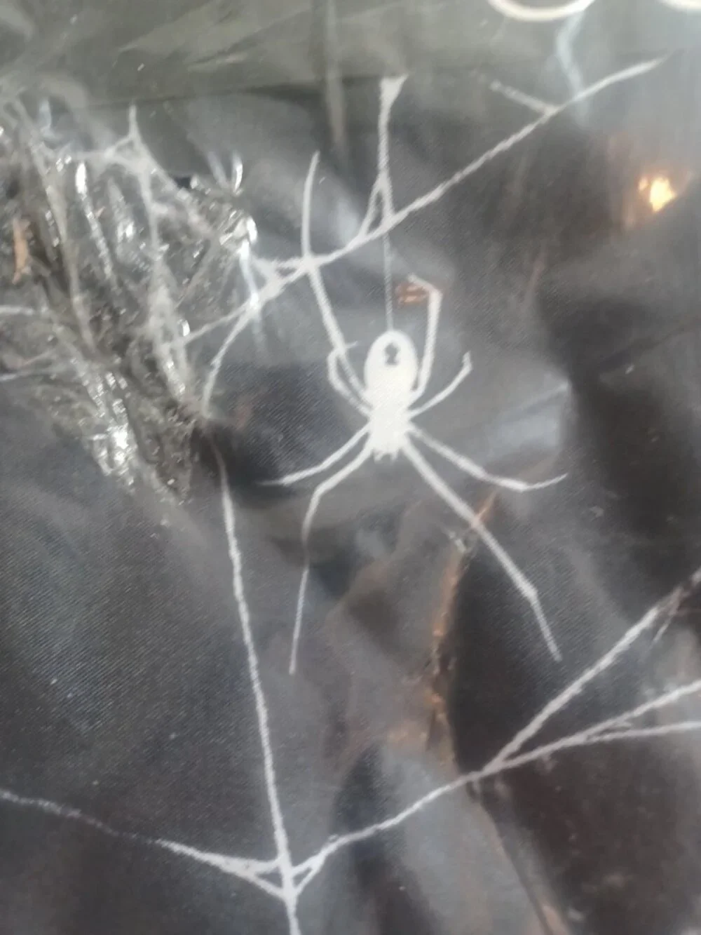Dolls Kill Dolls Home Spider Webs Gothic Goth Halloween Sheet Set Black White